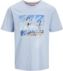 Jack & Jones Colton Photoprint Crew Neck T-Shirt Chambray Blue