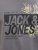 Jack & Jones Jaxon Crew Neck T-Shirt Castlerock - Μακό μπλουζάκια - Aνδρικά μπλουζεσ μεγάλα μεγέθη