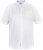D555 James Short Sleeve Oxford Shirt White - Πουκάμισα - Aνδρικά πουκαμισα μεγαλα μεγάλα μεγέθη