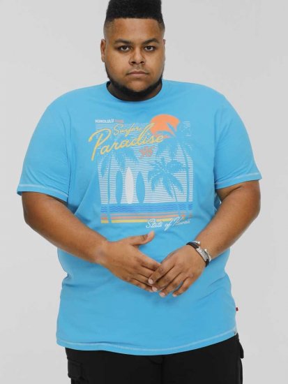 D555 AARON Surfers Paradise Printed Crew Neck T-Shirt Turquoise - Μακό μπλουζάκια - Aνδρικά μπλουζεσ μεγάλα μεγέθη