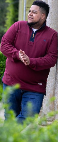 D555 HIRALDO Quarter Neck Pique Fleece Sweatshirt With Chest Embroidery Red - φούτερ/Φούτερ με κουκούλα - φούτερ/Φούτερ με κουκούλα ανδρικά μεγάλα μεγέθη 