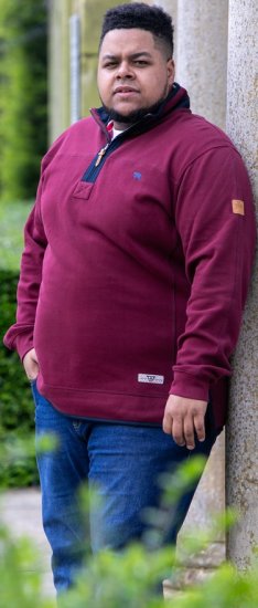 D555 HIRALDO Quarter Neck Pique Fleece Sweatshirt With Chest Embroidery Red - φούτερ/Φούτερ με κουκούλα - φούτερ/Φούτερ με κουκούλα ανδρικά μεγάλα μεγέθη 