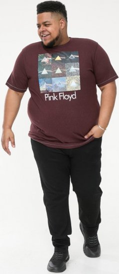D555 DIVISION Official Pink Floyd Printed T-Shirt Burgundy - Μακό μπλουζάκια - Aνδρικά μπλουζεσ μεγάλα μεγέθη