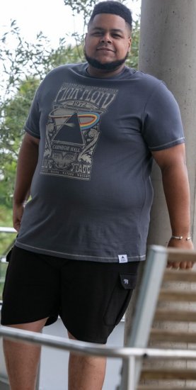 D555 HANLEY Official Pink Floyd Crew Neck T-Shirt Dark Grey - Μακό μπλουζάκια - Aνδρικά μπλουζεσ μεγάλα μεγέθη