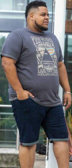 D555 HANLEY Official Pink Floyd Crew Neck T-Shirt Dark Grey TALL SIZES - ΑΝΔΡΙΚΑ ΡΟΥΧΑ MT-6XLT - Μεγέθη TALL