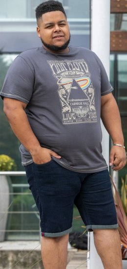 D555 HANLEY Official Pink Floyd Crew Neck T-Shirt Dark Grey TALL SIZES - ΑΝΔΡΙΚΑ ΡΟΥΧΑ MT-6XLT - Μεγέθη TALL
