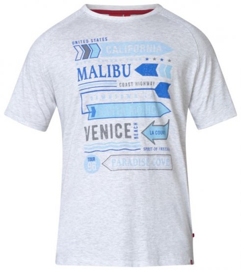 D555 Norris T-shirt Grey - Μακό μπλουζάκια - Aνδρικά μπλουζεσ μεγάλα μεγέθη