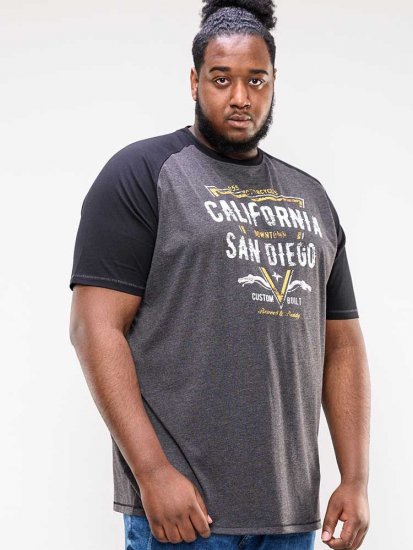 D555 Lismore Raglan Sleeve San Diego Printed T-Shirt Charcoal - Μακό μπλουζάκια - Aνδρικά μπλουζεσ μεγάλα μεγέθη