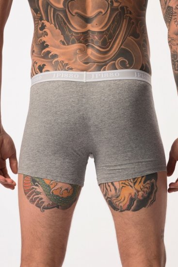 JP1880 Boxershorts Flexnamic OEKO-TEX Mid 2-Pack Grey/Off-White - Εσώρουχα/Μαγιό - Aνδρικά Εσώρουχα μεγάλα μεγέθη