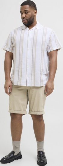 Jack & Jones Dave Chino Shorts Beige - Σορτς - Aνδρικεσ βερμουδεσ μεγαλα μεγάλα μεγέθη