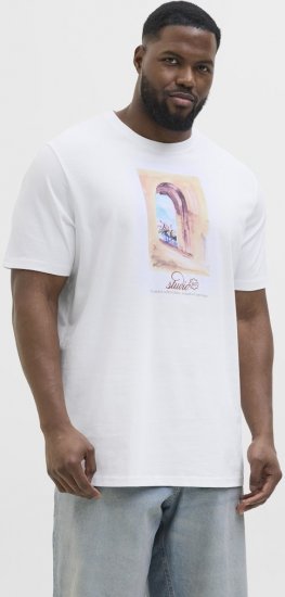 Jack & Jones Hydra Crew Neck T-Shirt Bright White - Μακό μπλουζάκια - Aνδρικά μπλουζεσ μεγάλα μεγέθη