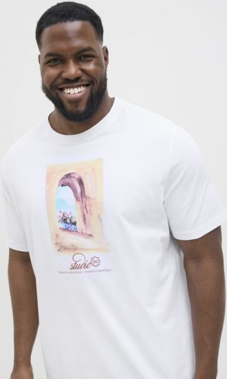 Jack & Jones Hydra Crew Neck T-Shirt Bright White - Μακό μπλουζάκια - Aνδρικά μπλουζεσ μεγάλα μεγέθη