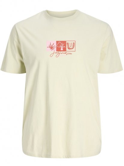 Jack & Jones Canggu Crew Neck T-Shirt Celadon Tint - Μακό μπλουζάκια - Aνδρικά μπλουζεσ μεγάλα μεγέθη