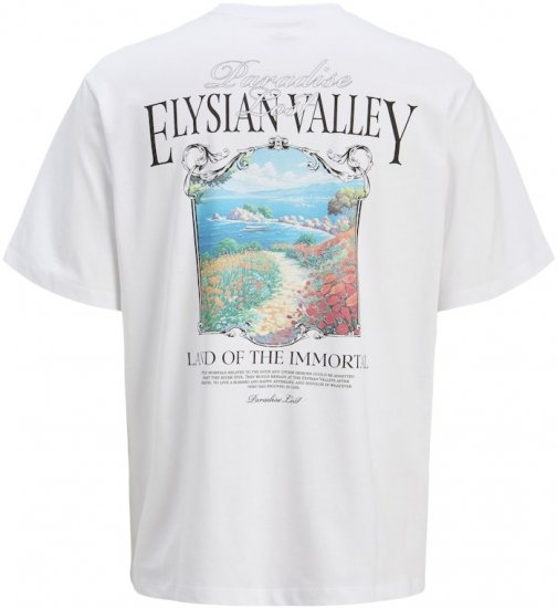 Jack & Jones Parallel Crew Neck T-Shirt Bright White - Μακό μπλουζάκια - Aνδρικά μπλουζεσ μεγάλα μεγέθη