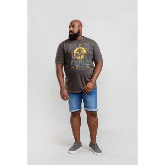 D555 Stanley T-shirt Khaki - Μακό μπλουζάκια - Aνδρικά μπλουζεσ μεγάλα μεγέθη